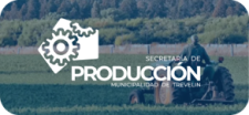 Producción
