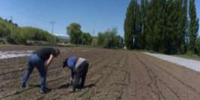Agricultura Limpia