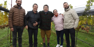 Avanzan con éxito las vendimias del Valle de Trevelin.