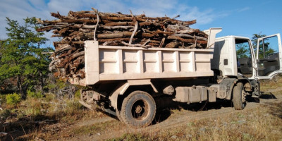 Avanzan las tareas de bajada de leña en Lago Rosario y Sierra Colorada.