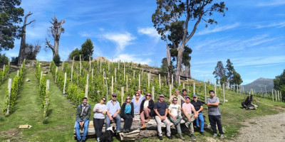 Jornada Técnica Vitivinícola.
