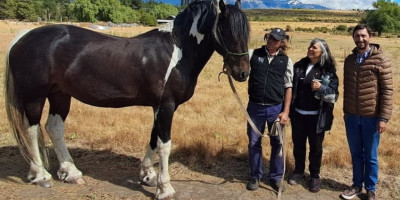 La Secretaría de Turismo acompaña el desarrollo de Frisón Barock Patagonia (Imagen: Archivo Prensa Municipalidad de Trevelin). La Secretaría de Turismo acompaña el desarrollo de Frisón Barock Patagonia (Imagen: Archivo Prensa Municipalidad de Trevelin).