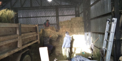 Municipio asiste a productores de los parajes.