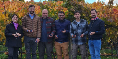 Comenzó la novena vendimia otoñal del valle de Trevelin.