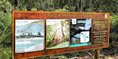 Excursión al Alerzal Milenario.