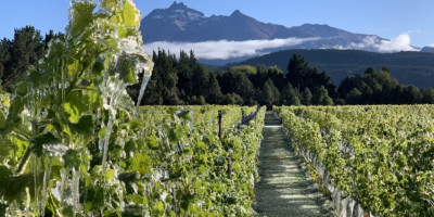 Ruta del vino de Trevelin.