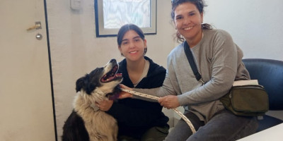 Se completaron jornadas de vacunación antirrábica y se anuncian nuevas fechas.