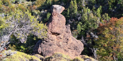 Sendero Piedra del Ñanco.