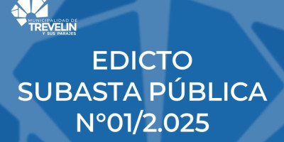 Subasta Pública N°01/2.2025.