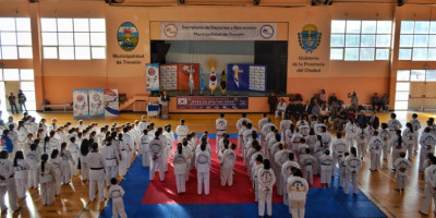 TAEKWONDO POR LA PAZ Y LA UNIÓN