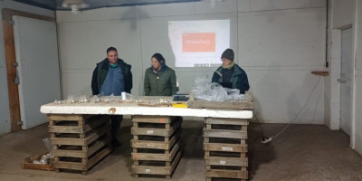 Taller Cultivo de Ajos
