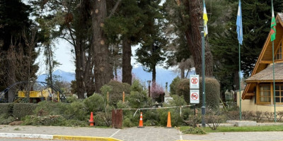 Trabajos de mantenimiento y poda en la Plaza Coronel Fontana.