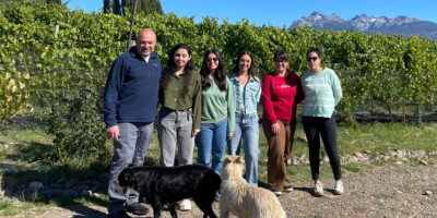 Viñas del Nant y Fall.