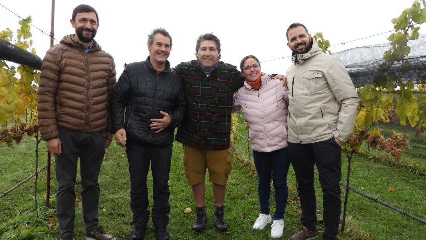 Avanzan con éxito las vendimias del Valle de Trevelin.