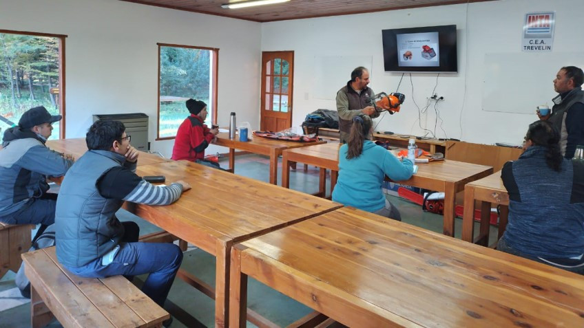 Curso de Uso Seguro y Mantenimiento de Motosierra.