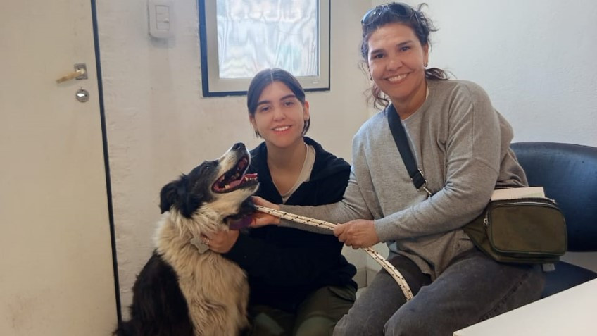 Se completaron jornadas de vacunación antirrábica y se anuncian nuevas fechas.