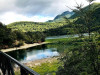 Excursión al Alerzal