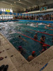 Gran desempeño del equipo de natación de Trevelin en Comodoro Rivadavia.