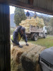 Municipio asiste a productores de los parajes.