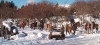 Incesante crecimiento de Sierra Colorada como atractivo invernal en Trevelin.